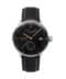 N IRON ANNIE 5060 2 0 (1)