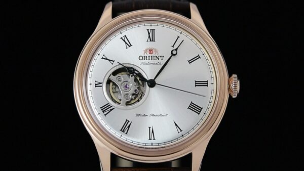 AG00001S hors couonne