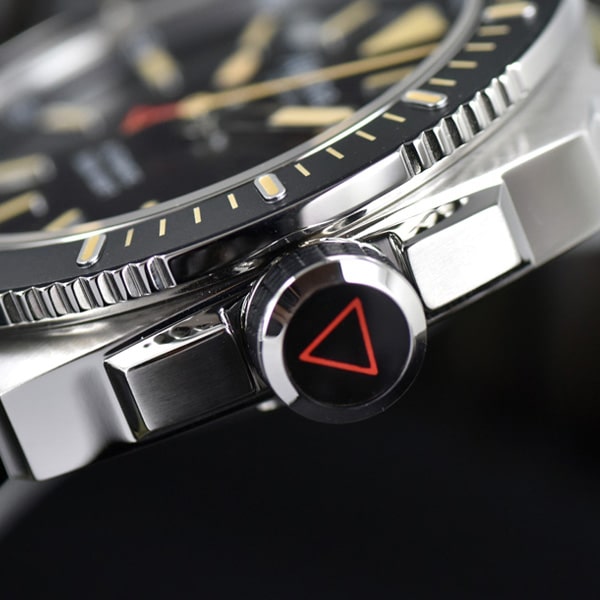 AL 525LGG4V6 Alpina Seastrong diver 300 5