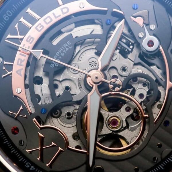 Aries Gold El Toro G 9005 BK BK Conteenium 7