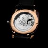 Briston 19740 PRA TI 2 LVC iconic acetate gold oh conteenium 4