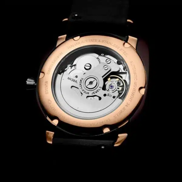 Briston 19740 PRA TI 2 LVC iconic acetate gold oh conteenium 4