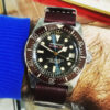 NETHUNSCONTEENIUMSCUBA500STEELSS521 6