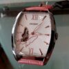 dbae004w orient