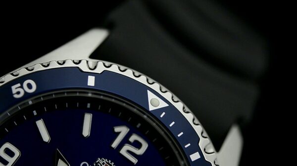 fem65005dw