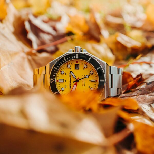 SP 5081 II 11