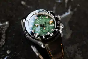 10242 TIN VIN b