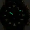 10242 TINRCA BRDR b