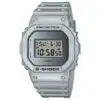 DW 5600FF 8ER1