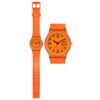 VP46J017Y 1