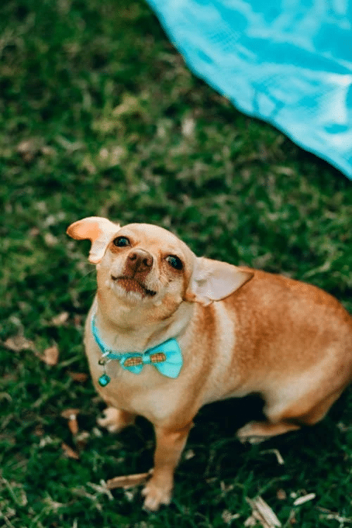pexels photo 28537928