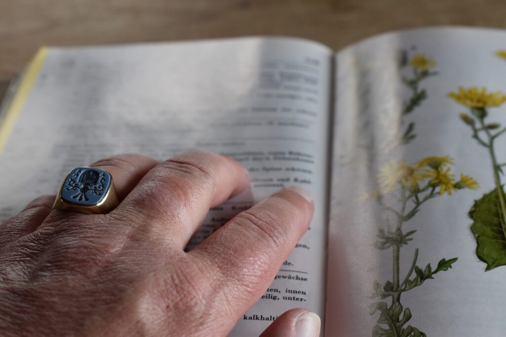 02f4ca00d0476a9fbe4315e015cda18e