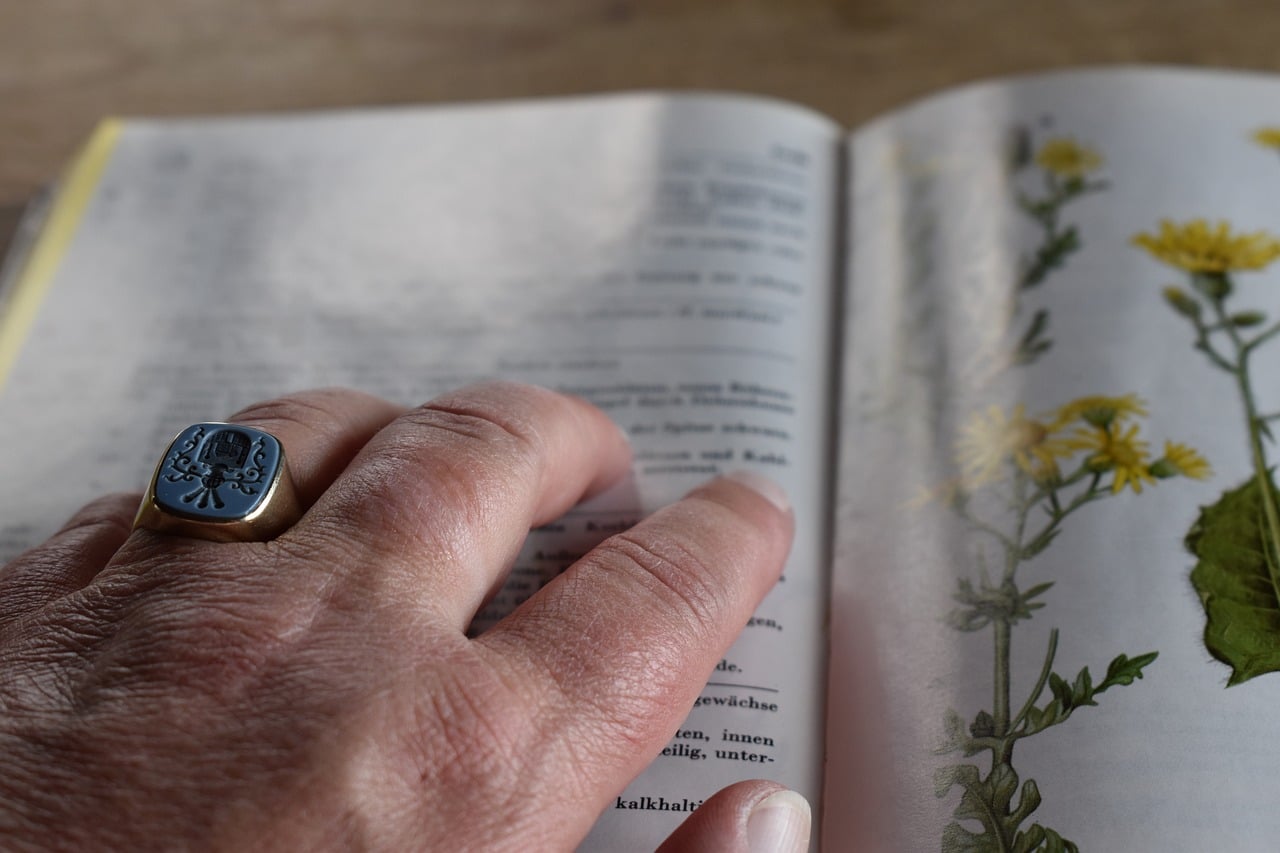 02f4ca00d0476a9fbe4315e015cda18e