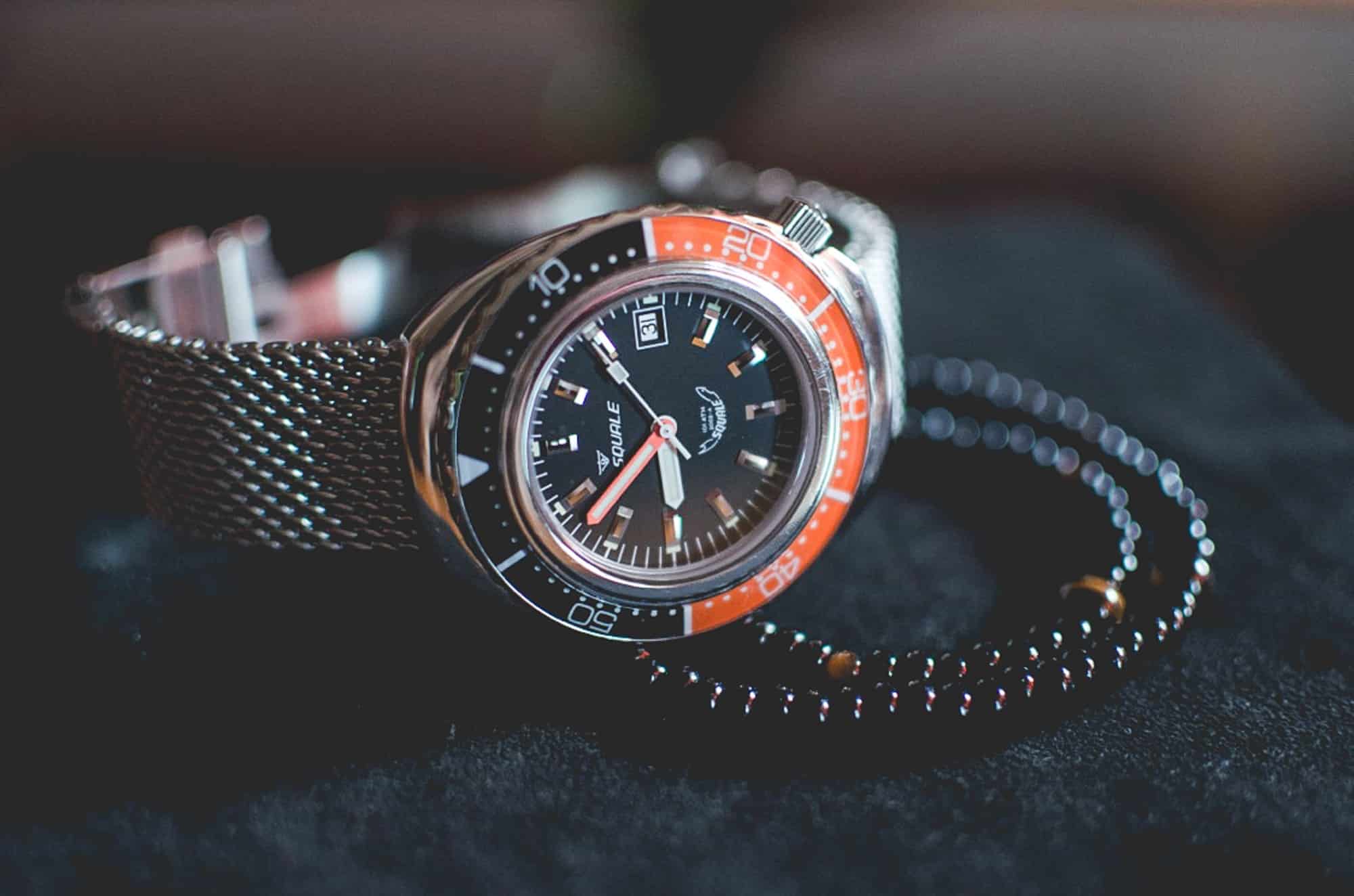 Squale conteenium