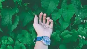 pexels phong nguyen 40565 140928
