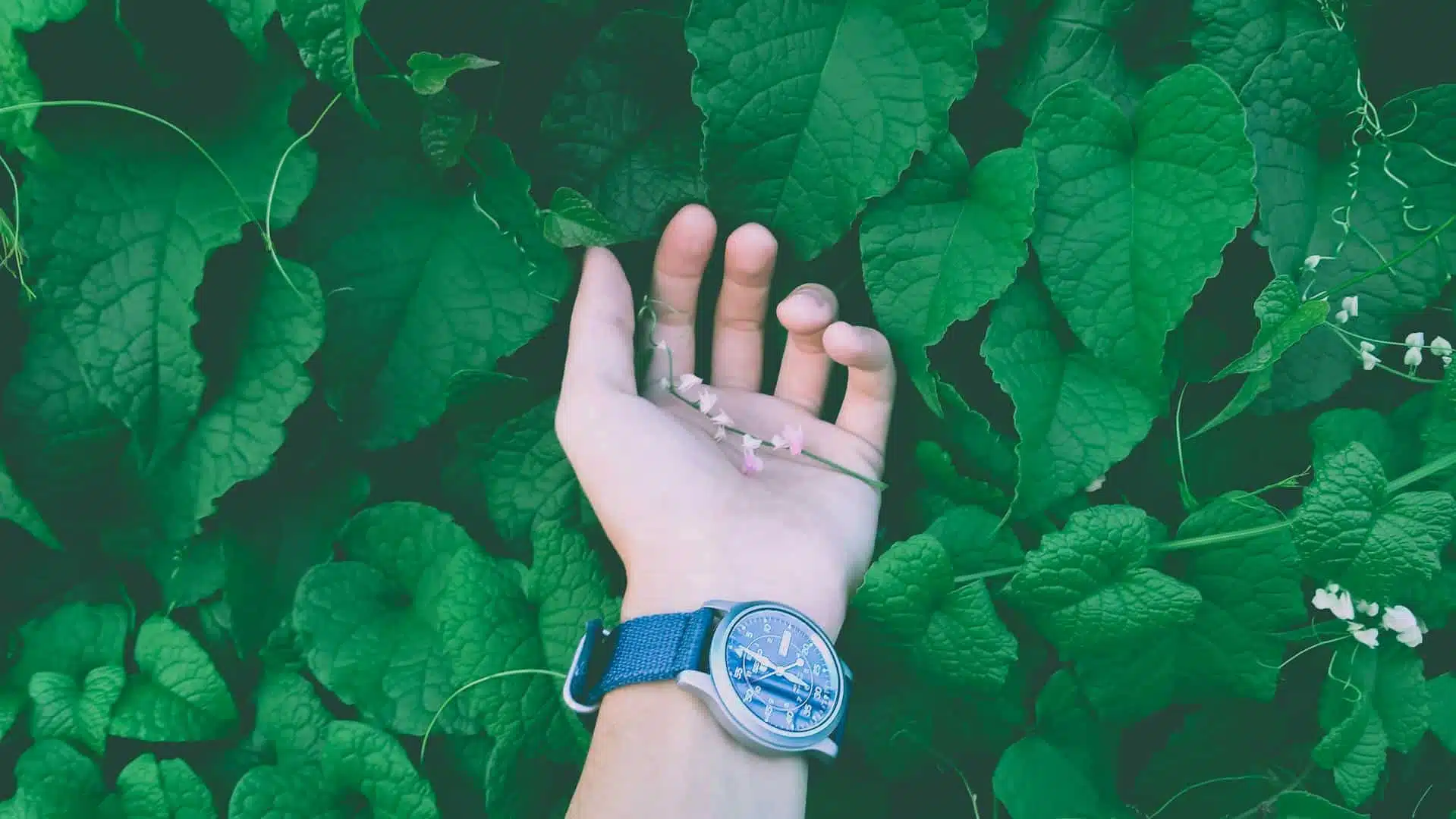pexels phong nguyen 40565 140928