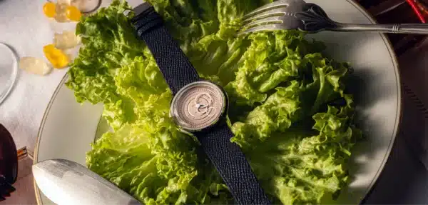 Beaubleu Watch SECONDE FRANÇAISE SAUMON e