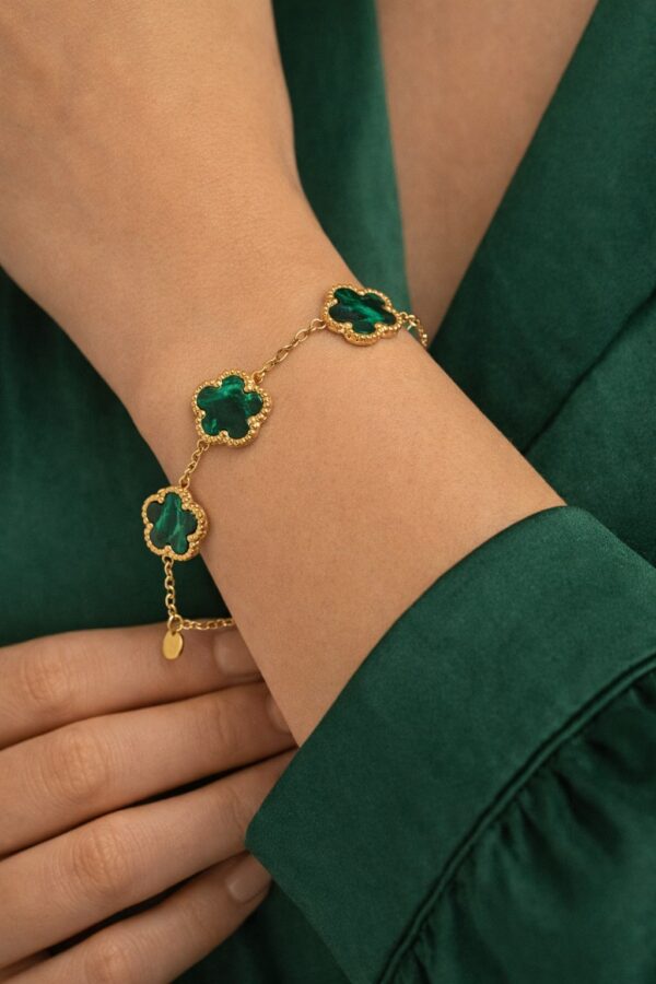 BCT A 5F D Vert a BCT A 5F D Vert a