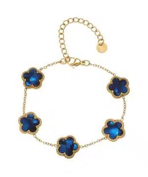 Conteenium BCT A 5F D Bleu Conteenium BCT A 5F D Bleu