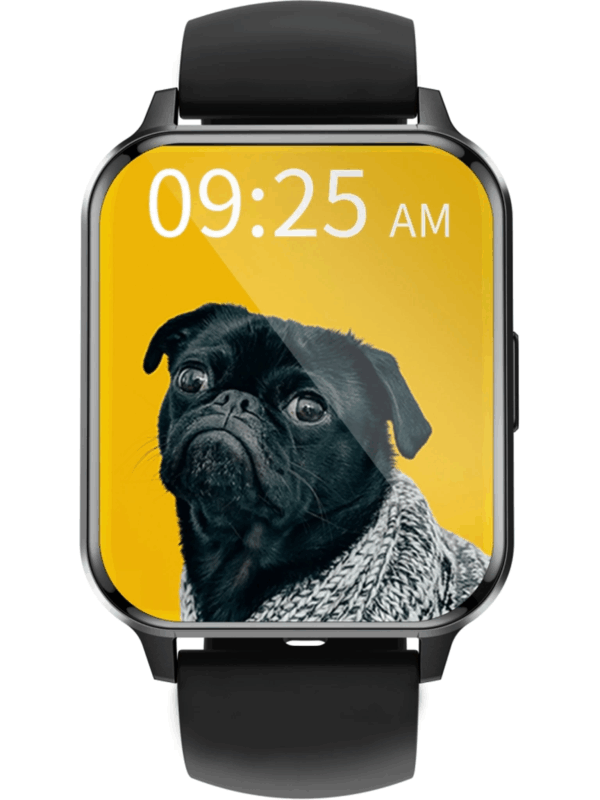 SMARTY2.0 WATCH SW084A c SMARTY2.0 WATCH SW084A c