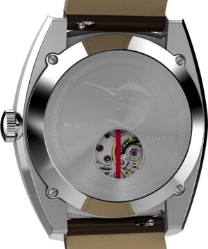 timex watch TW2V62000 d