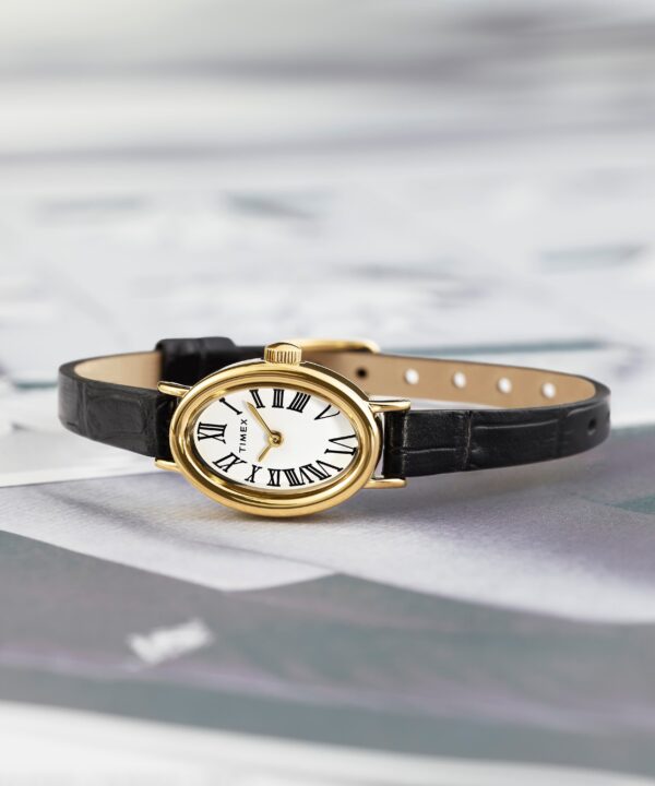 timex watch TW2W78300 e timex watch TW2W78300 e