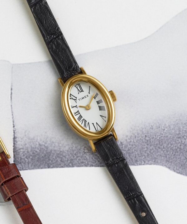 timex watch TW2W78300 f timex watch TW2W78300 f