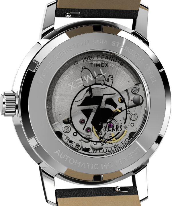 timex watch TW2Y10000 d timex watch TW2Y10000 d