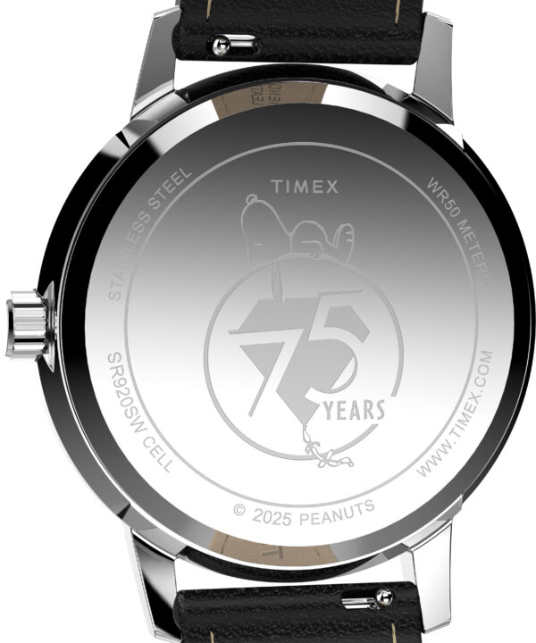 timex watch TW2Y19900 d timex watch TW2Y19900 d