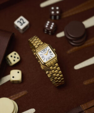 timex watch TW2Y23700 b