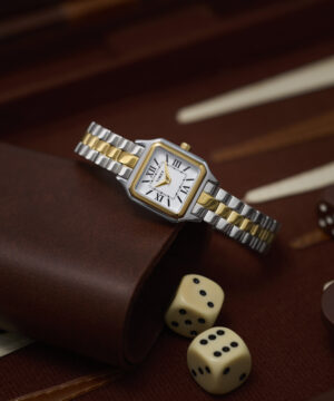 timex watch TW2Y23900 c