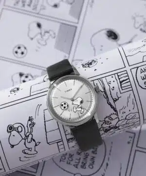 timex watch TW2Y53800 a