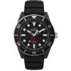 timex watch TW2Y02200 timex watch TW2Y02200